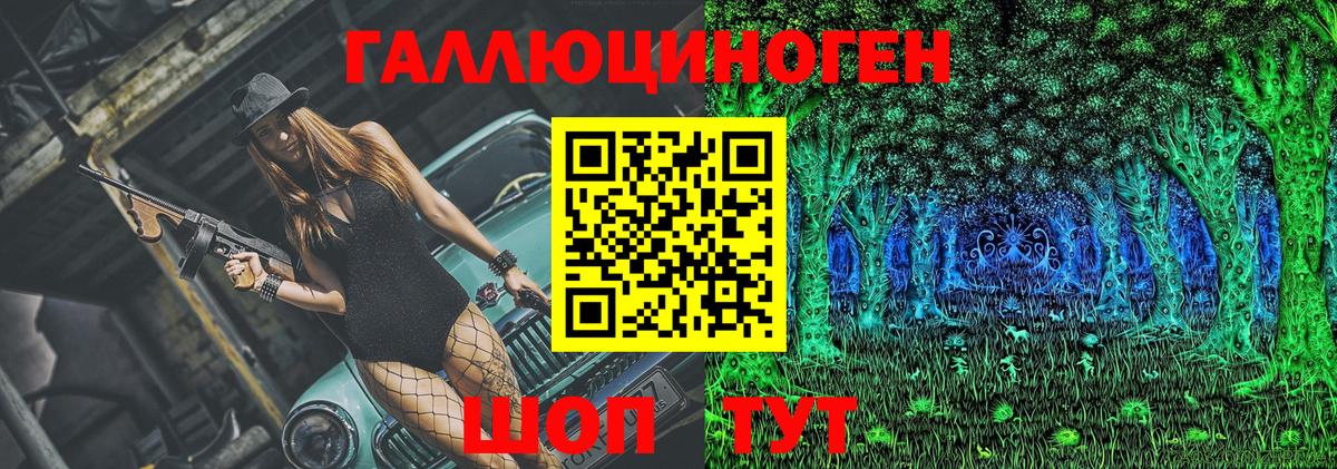 Галлюциногенные грибы Psilocybine cubensis  Вход с VPN  Дивногорск 