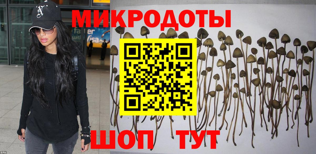Галлюциногенные грибы Psilocybine cubensis Дивногорск